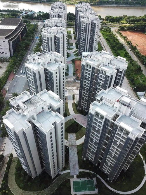 1800元觀廣州塔！商品房客廳改造公寓引熱議，年輕人直呼“慕了”